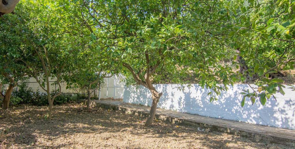 Spiti Kritikos Appartement Benitses  Buitenkant foto